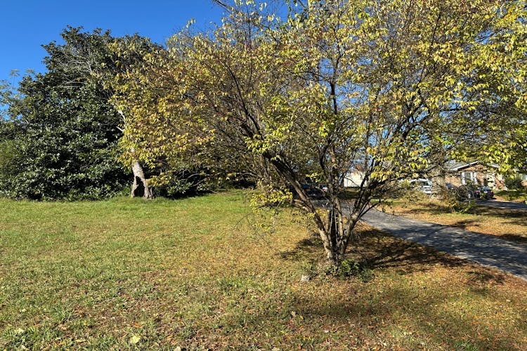 200 Woods Drive Columbia, TN 38401, Maury County