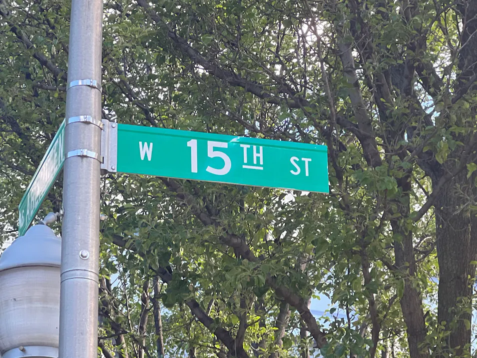 1071 W 15th St Unit 403 Chicago, IL 60608, Cook County