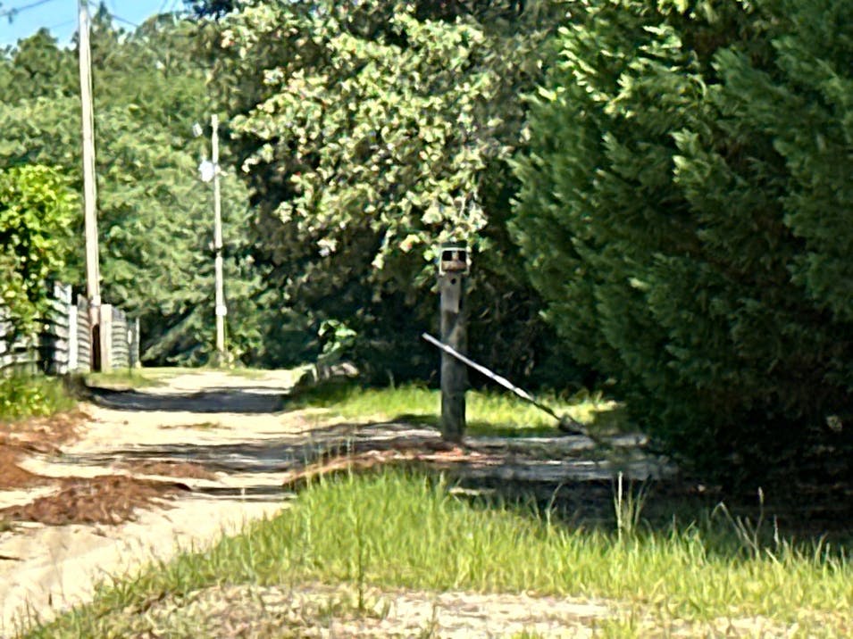 262 Rhoda Rish Road Leesville, SC 29070, Lexington County