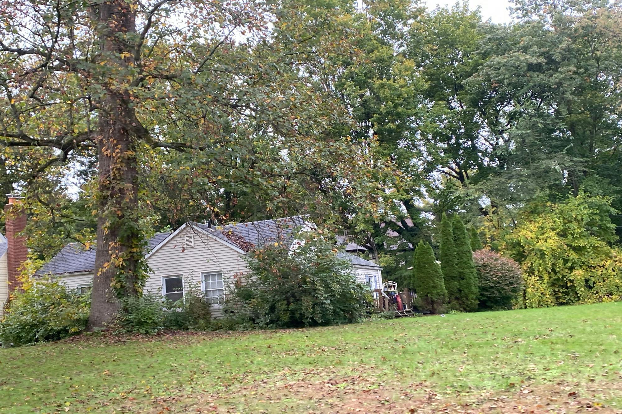 Delia Ave, Akron, OH 44320 #1