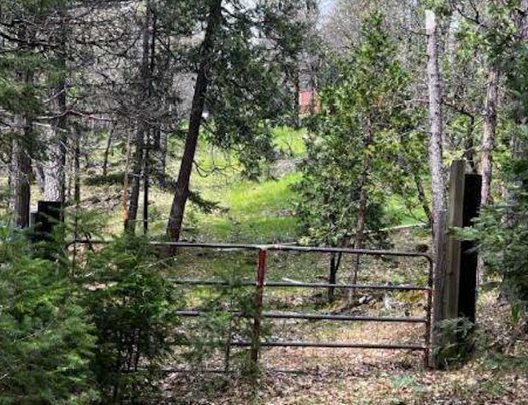 30366 Bridger Way Oak Run, CA 96069, Shasta County