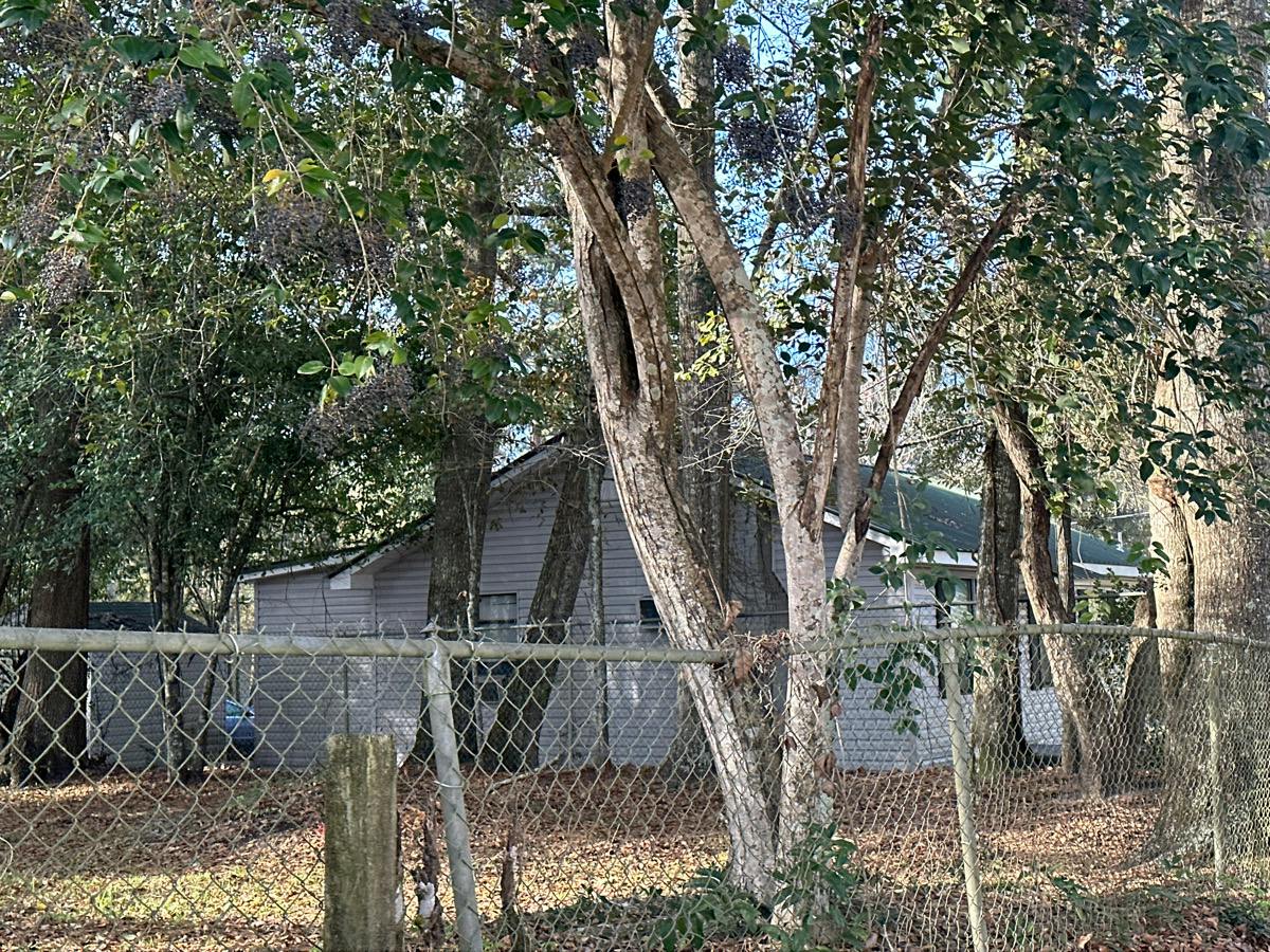 Delhi St, Andalusia, AL 36420 #1