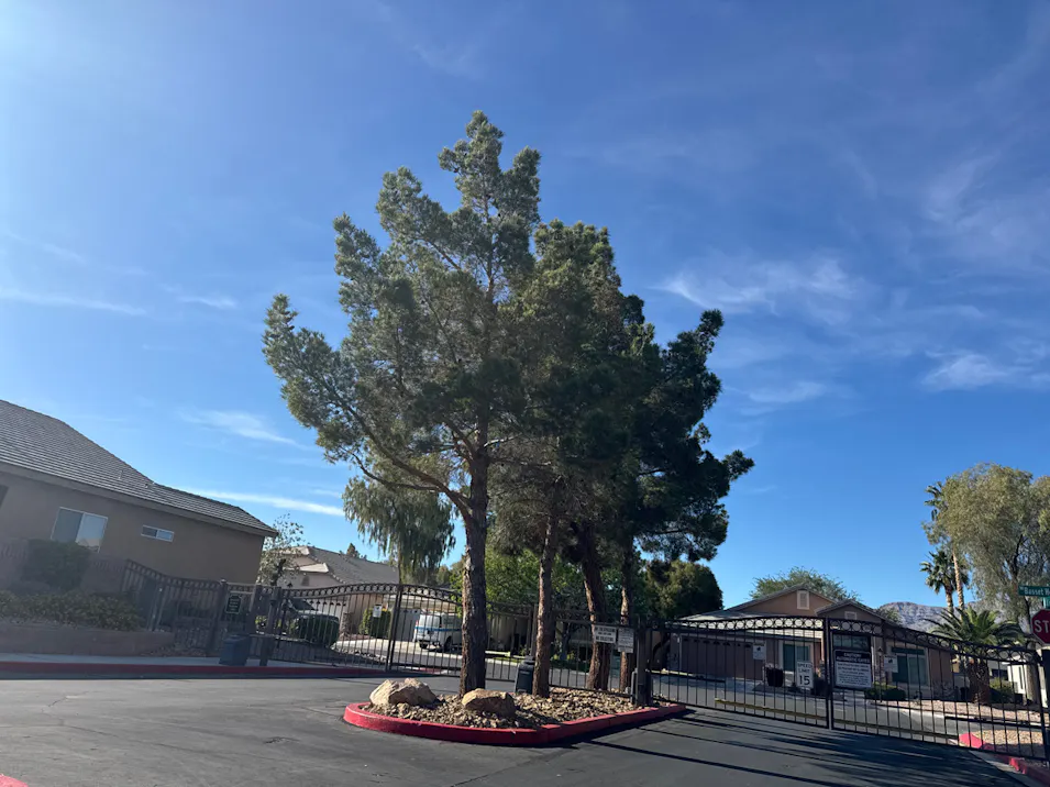 5419 Rottweiler Court Las Vegas, NV 89131, Clark County