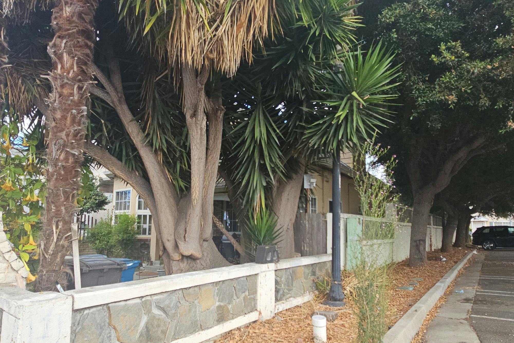 Horner St, Union City, CA 94587 #1
