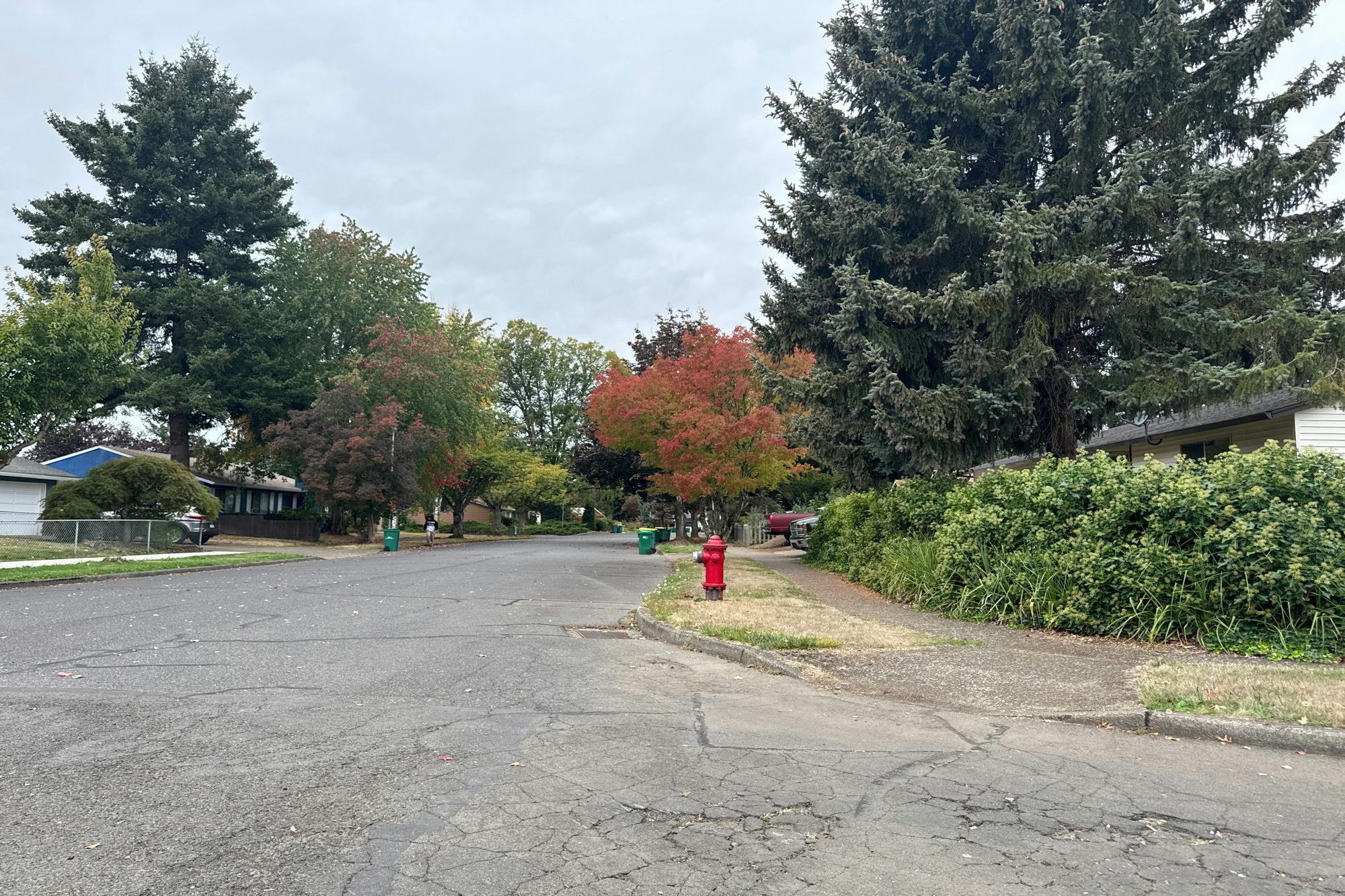 Redwood Ct, Forest Grove, OR 97116