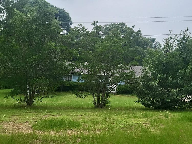 7950 Hwy 371 Sibley, LA 71073, Webster County