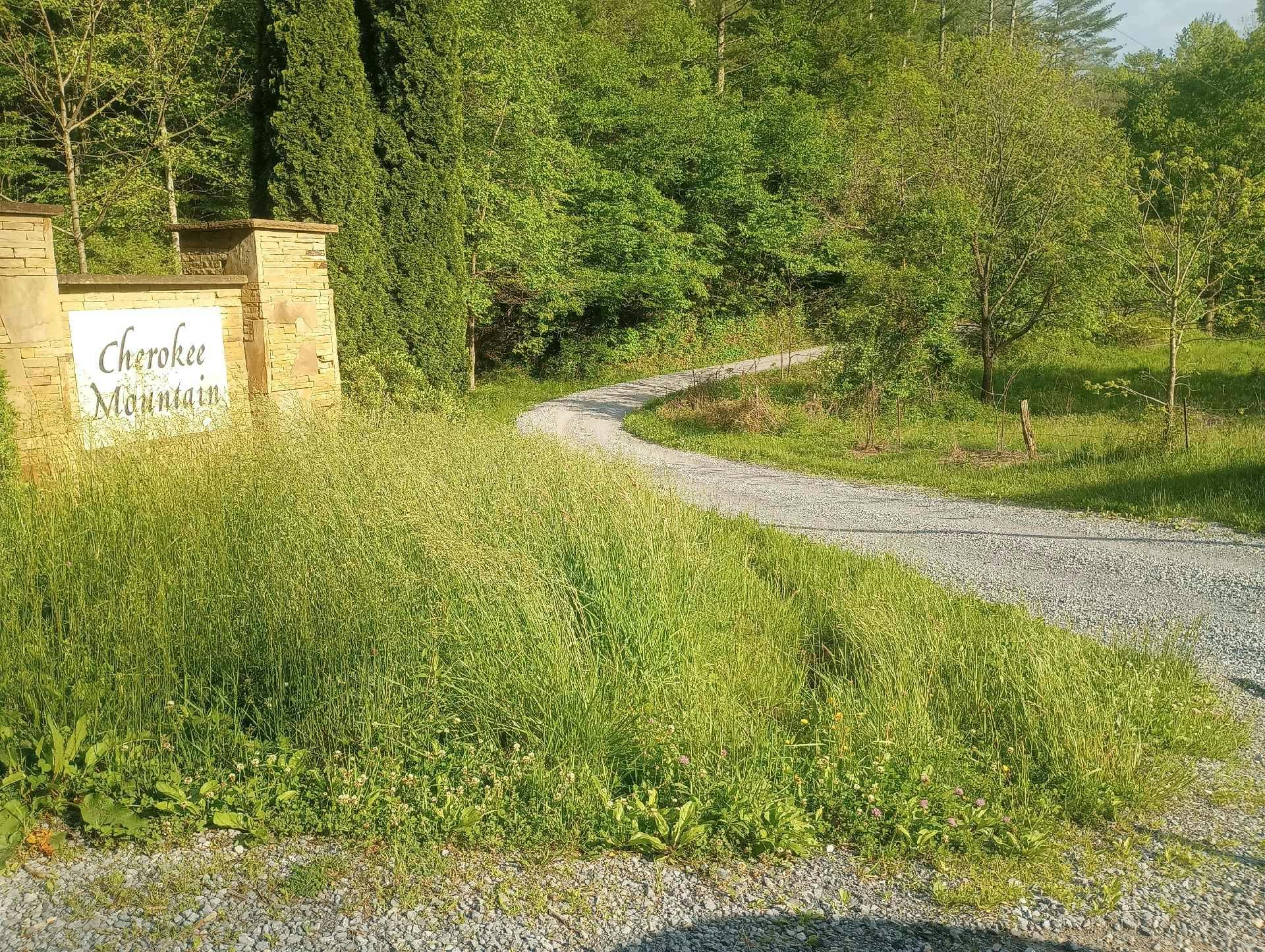 Raven Branch Rd, Del Rio, TN 37727 #1
