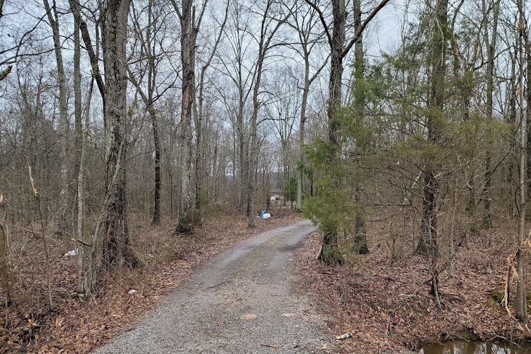 990 Cotaco Florette Rd Somerville, AL 35670, Morgan County