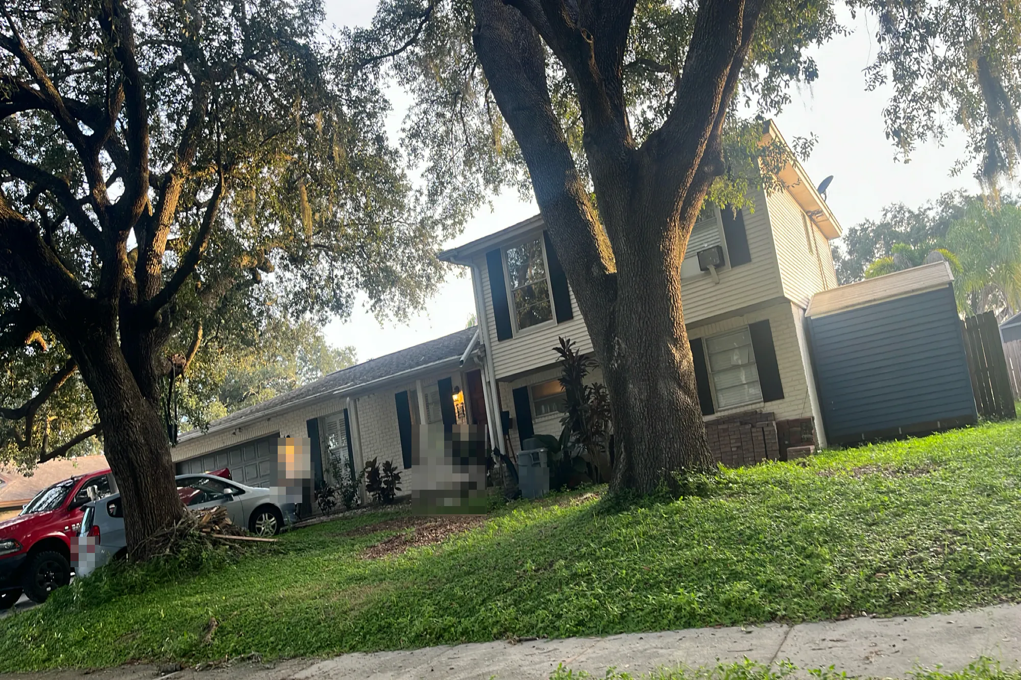 Hillpoint Way, Brandon, FL 33510 #1