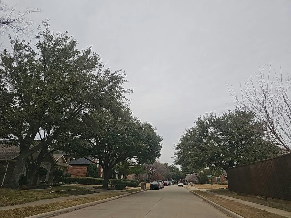 Winchester Dr, Frisco, TX 75033 #1