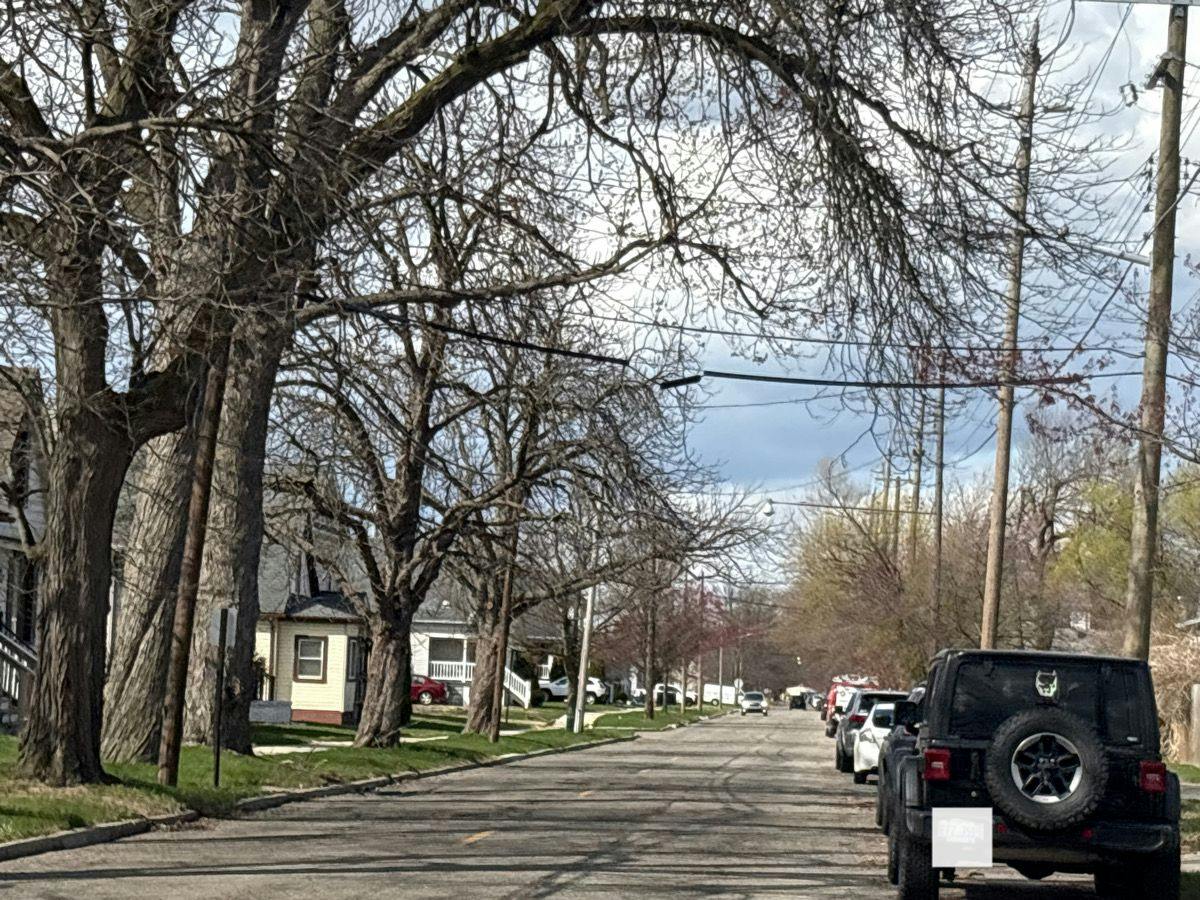 9th St, Wyandotte, MI 48192