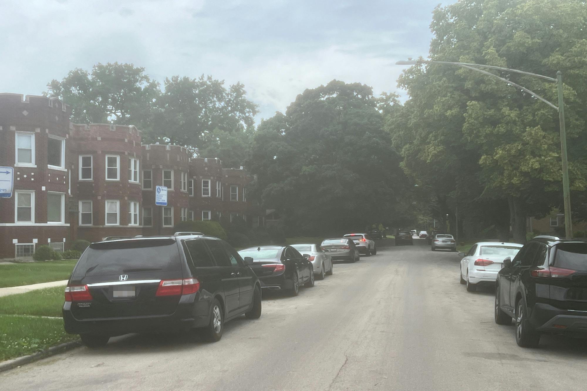 Merrill Ave, Chicago, IL 60649 #1