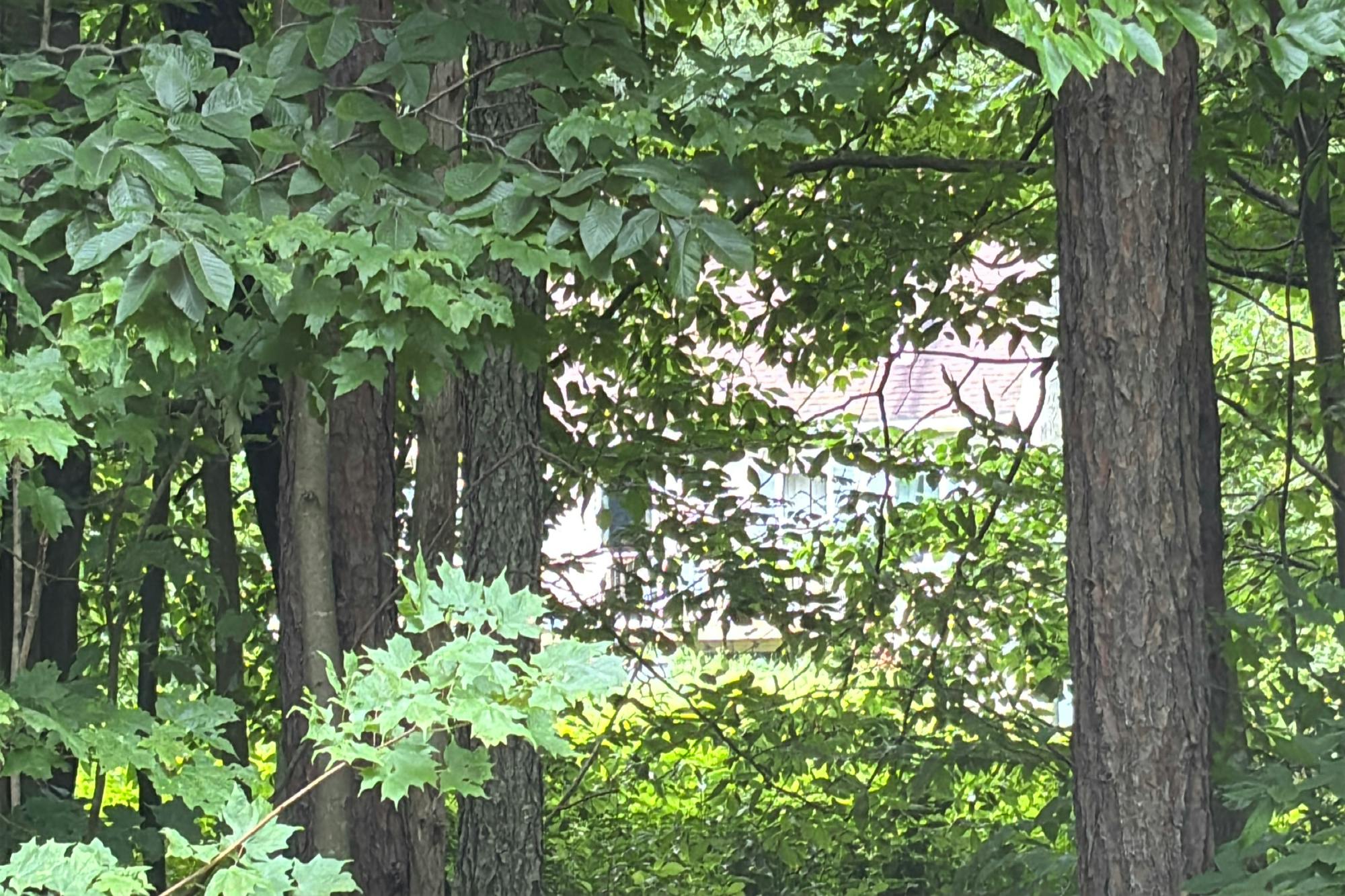 Dorn Spur Rd, Boonville, NY 13309