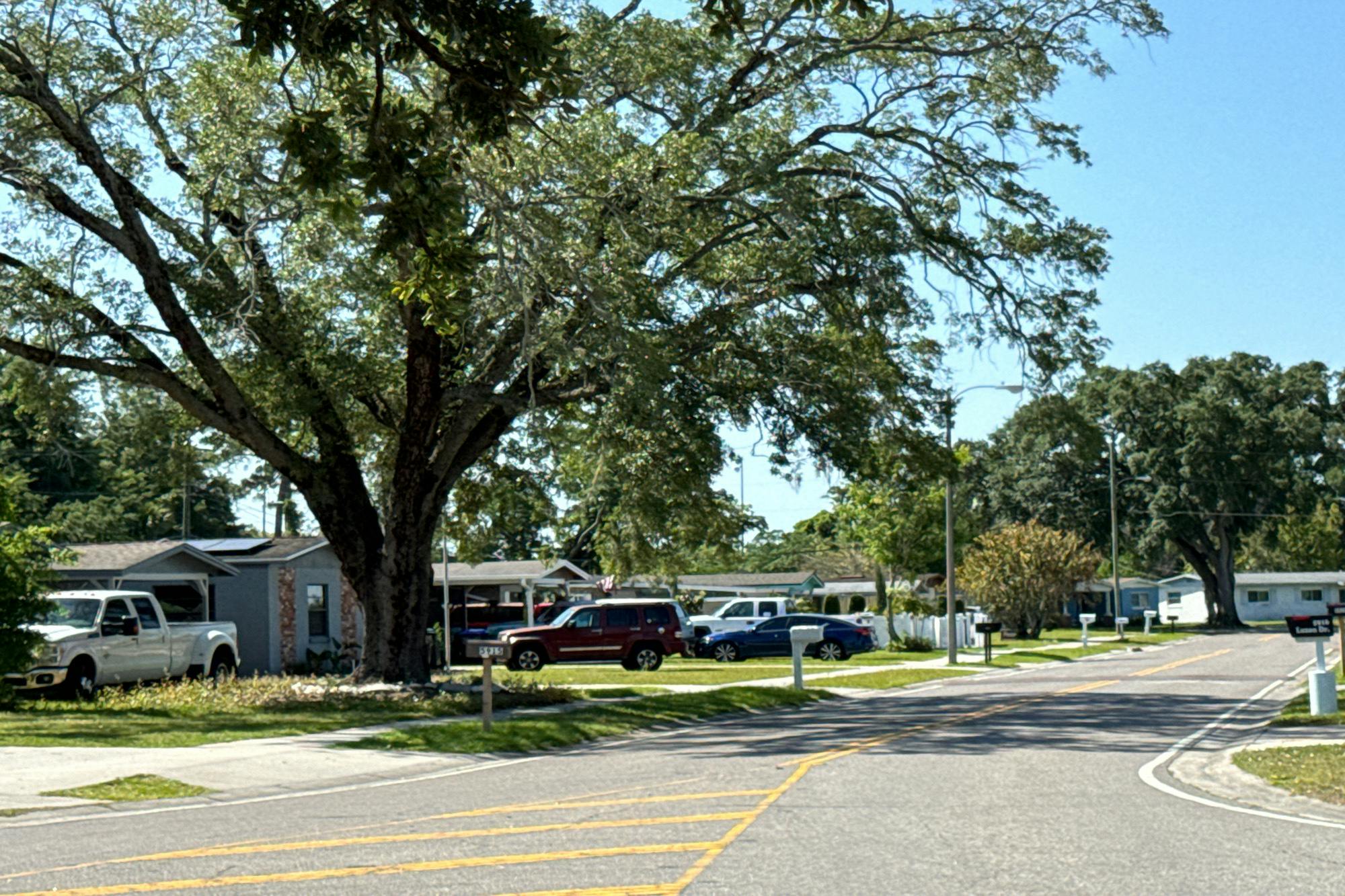 Luzon Dr, Orlando, FL 32809 #1