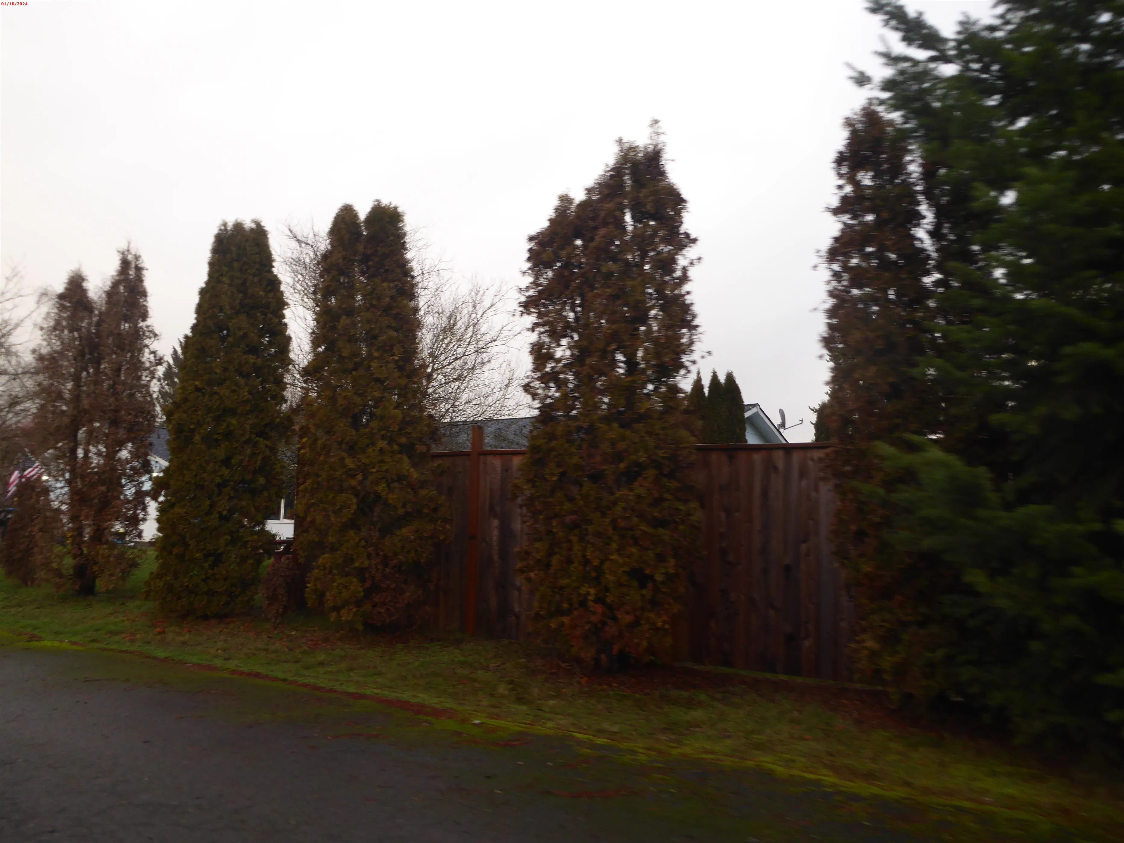 Cinnamon Ln, Rochester, WA 98579 #1