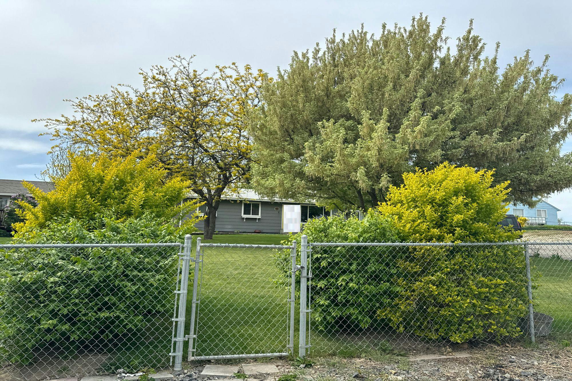 13th St, Benton City, WA 99320 #1