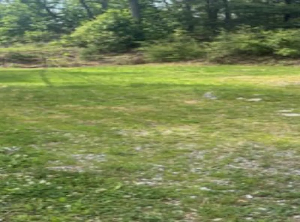 5111 Apple Harvest Drive Gerrardstown, WV 25420, Berkeley County
