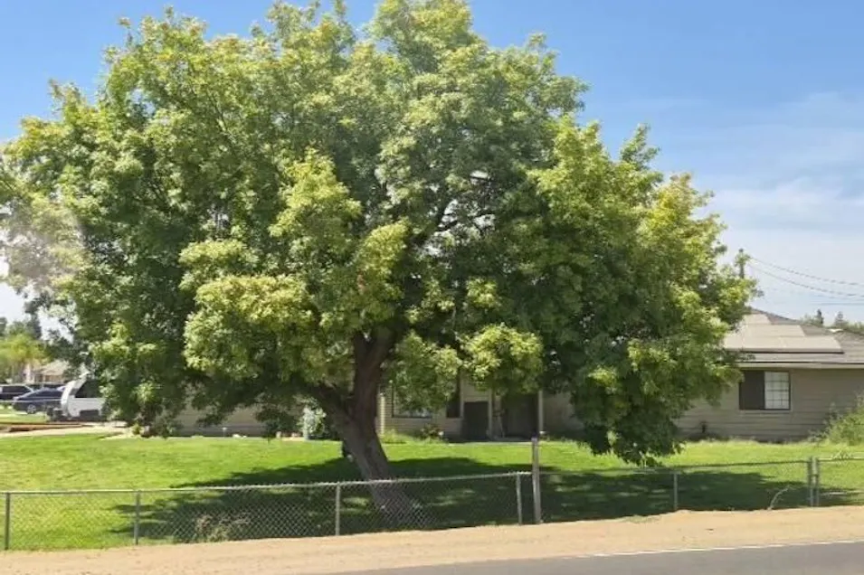 18802 Road 27 Madera, CA 93638, Madera County