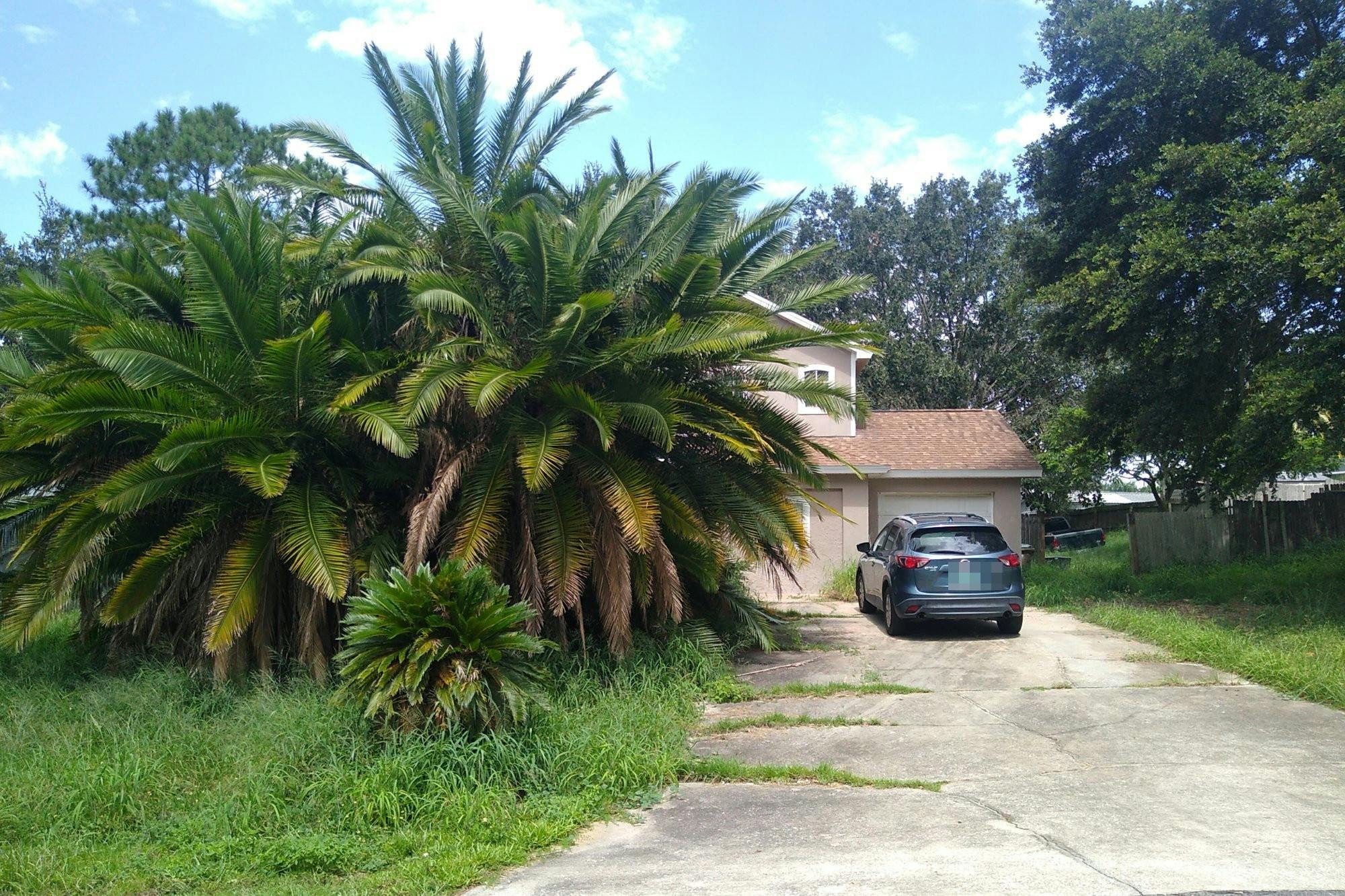 11424 Mandarin Dr  