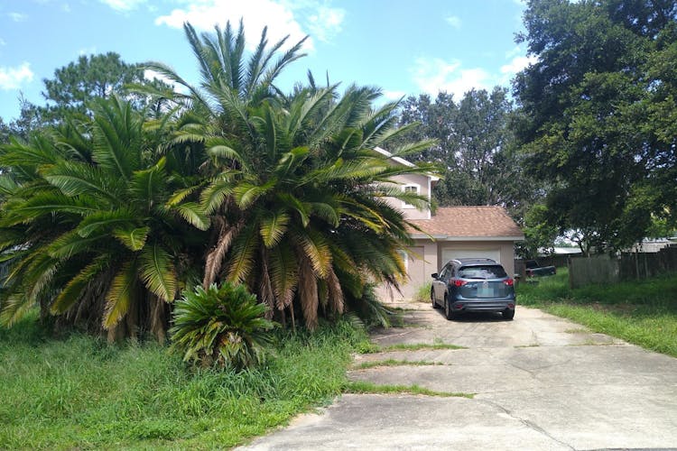 11424 Mandarin Dr Clermont, FL 34711, Lake County