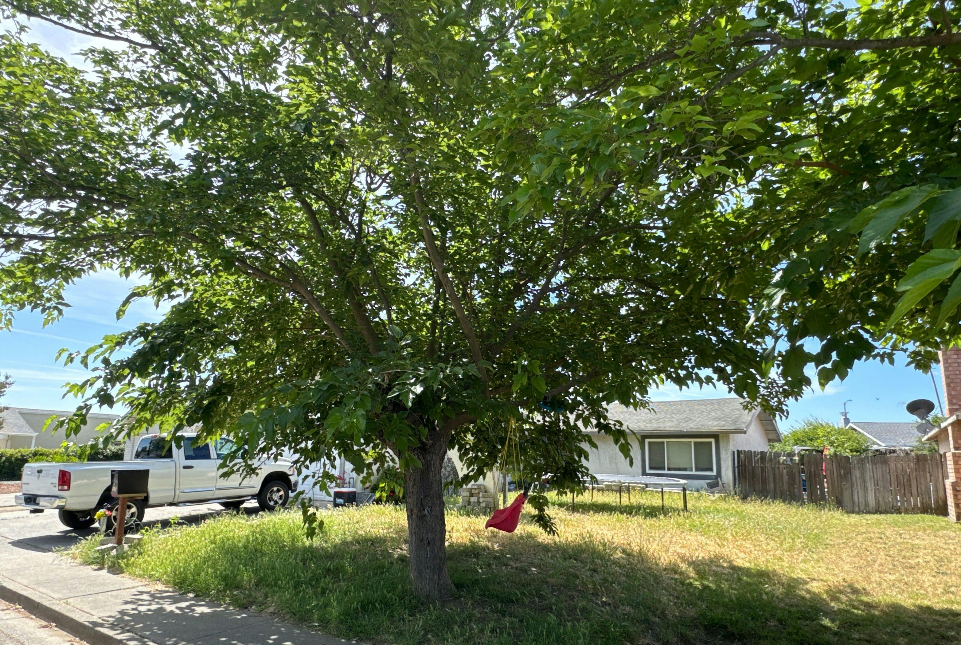 Old Planke Rd, Holland, OH 43528 #1