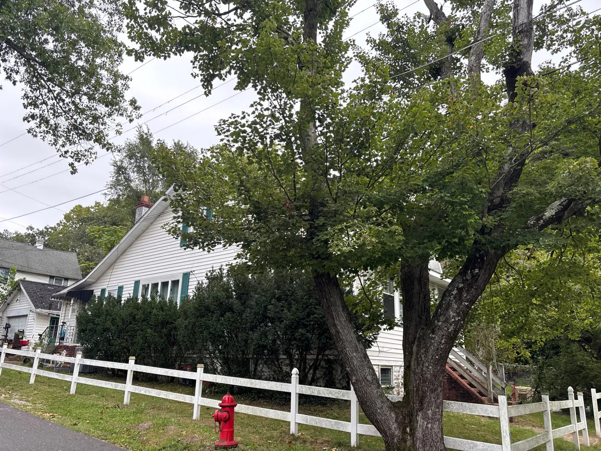 Lake Ave, Clementon, NJ 08021 #1
