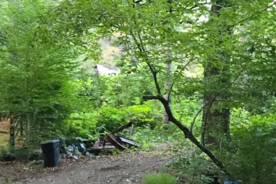 1458 State Forest Road Townshend, VT 05353, Windham County