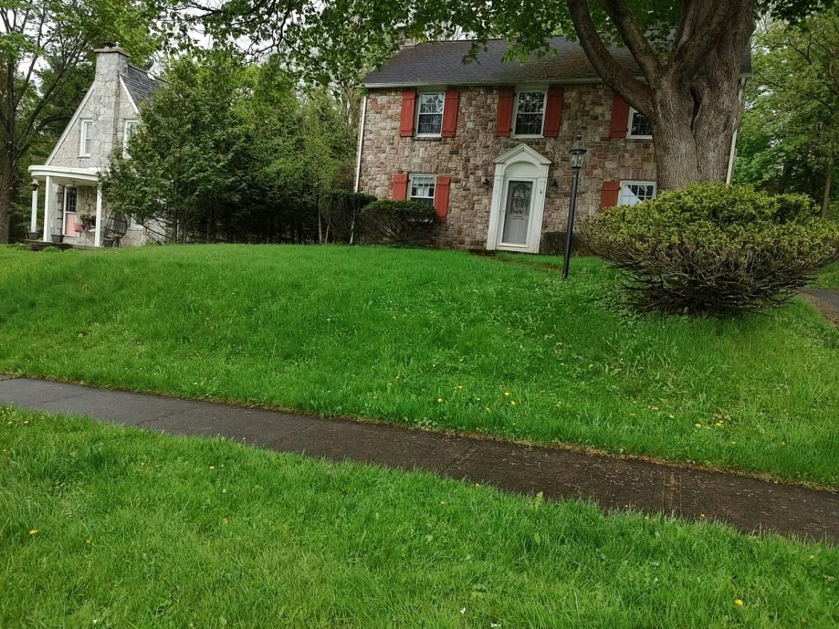 Arlington Ter, Utica, NY 13501 #1