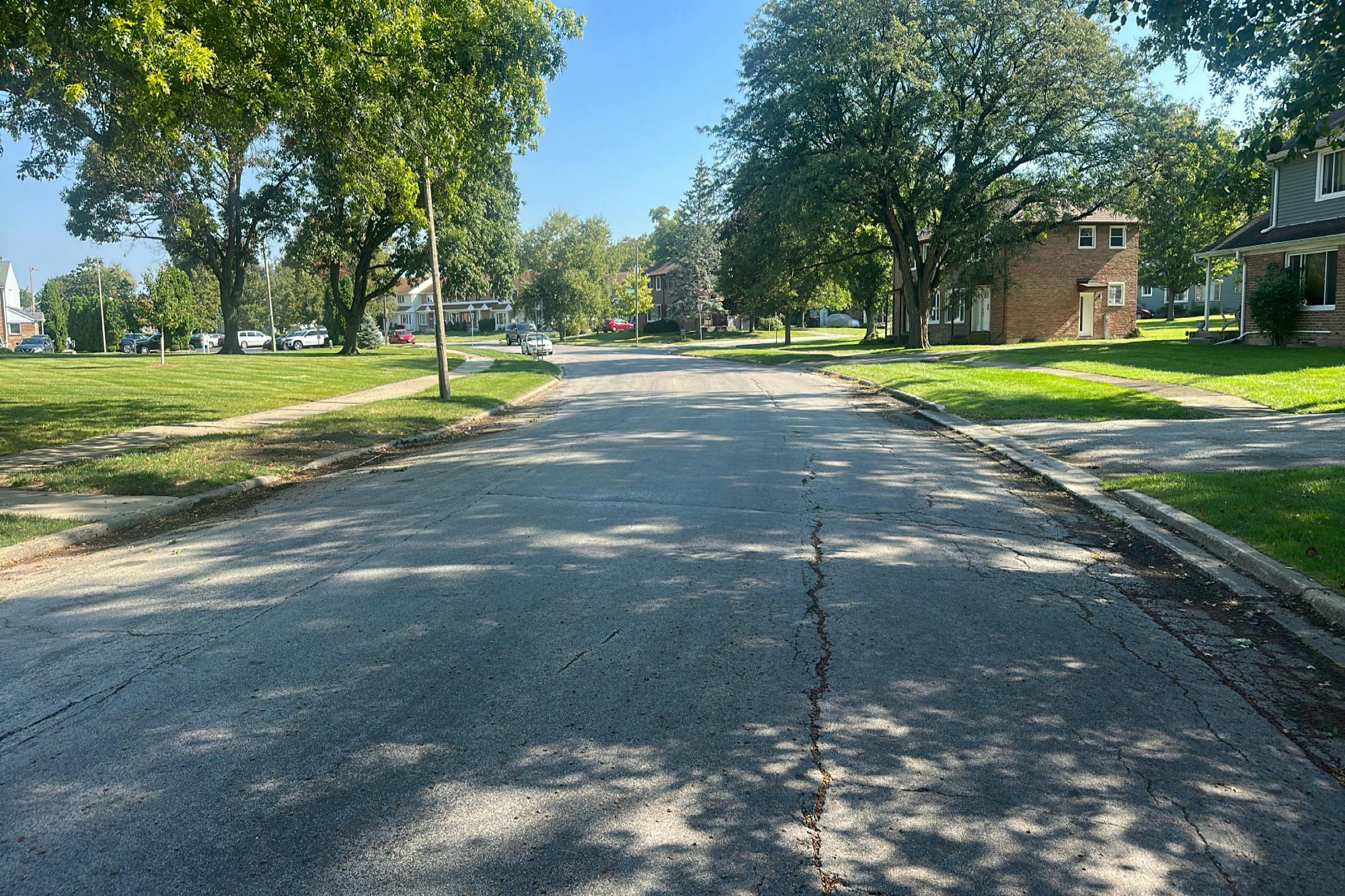 Dogwood St, Park Forest, IL 60466