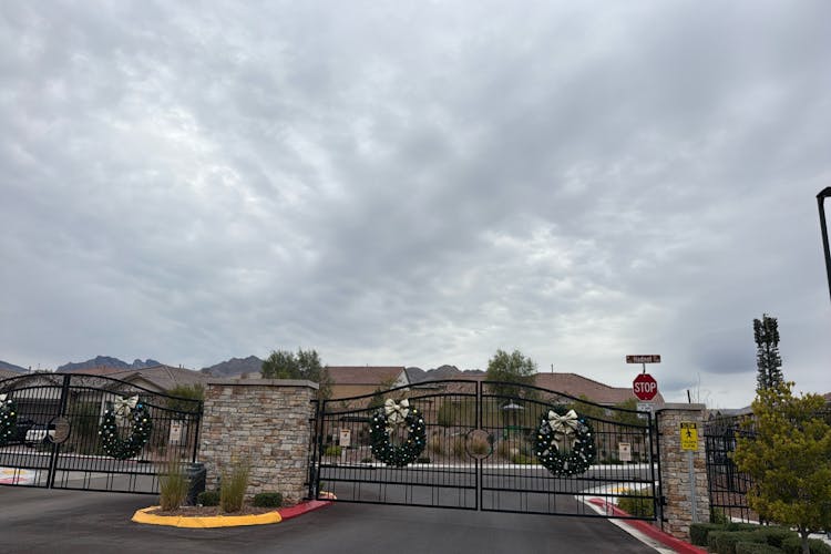 10990 Tracy Stevens Avenue Las Vegas, NV 89166, Clark County