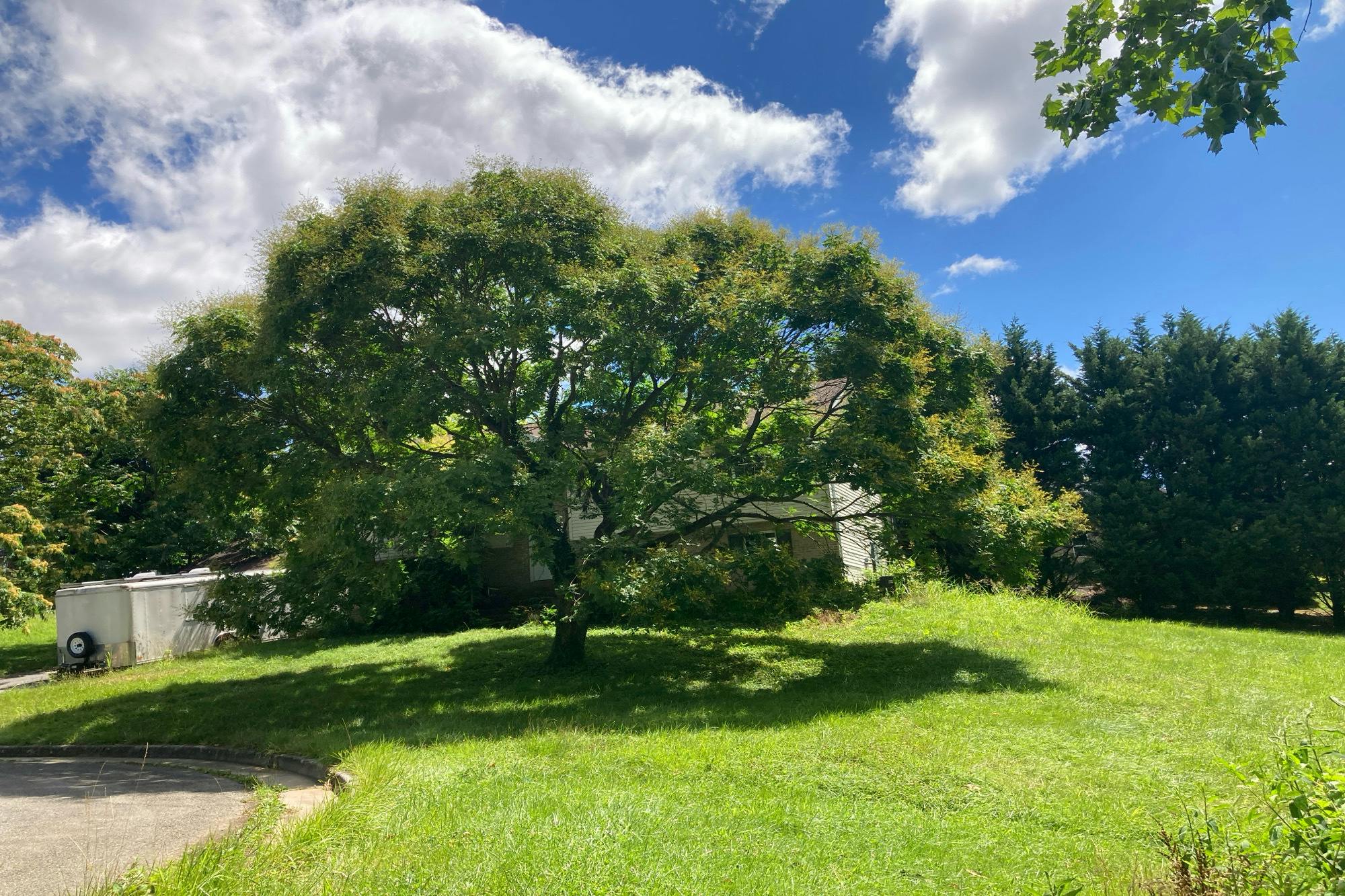 Springdale Dr, Charles Town, WV 25414 #1