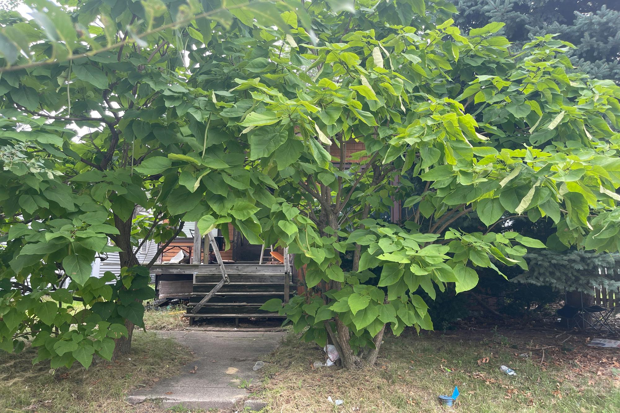 Harrison Ave, Hammond, IN 46324 #1