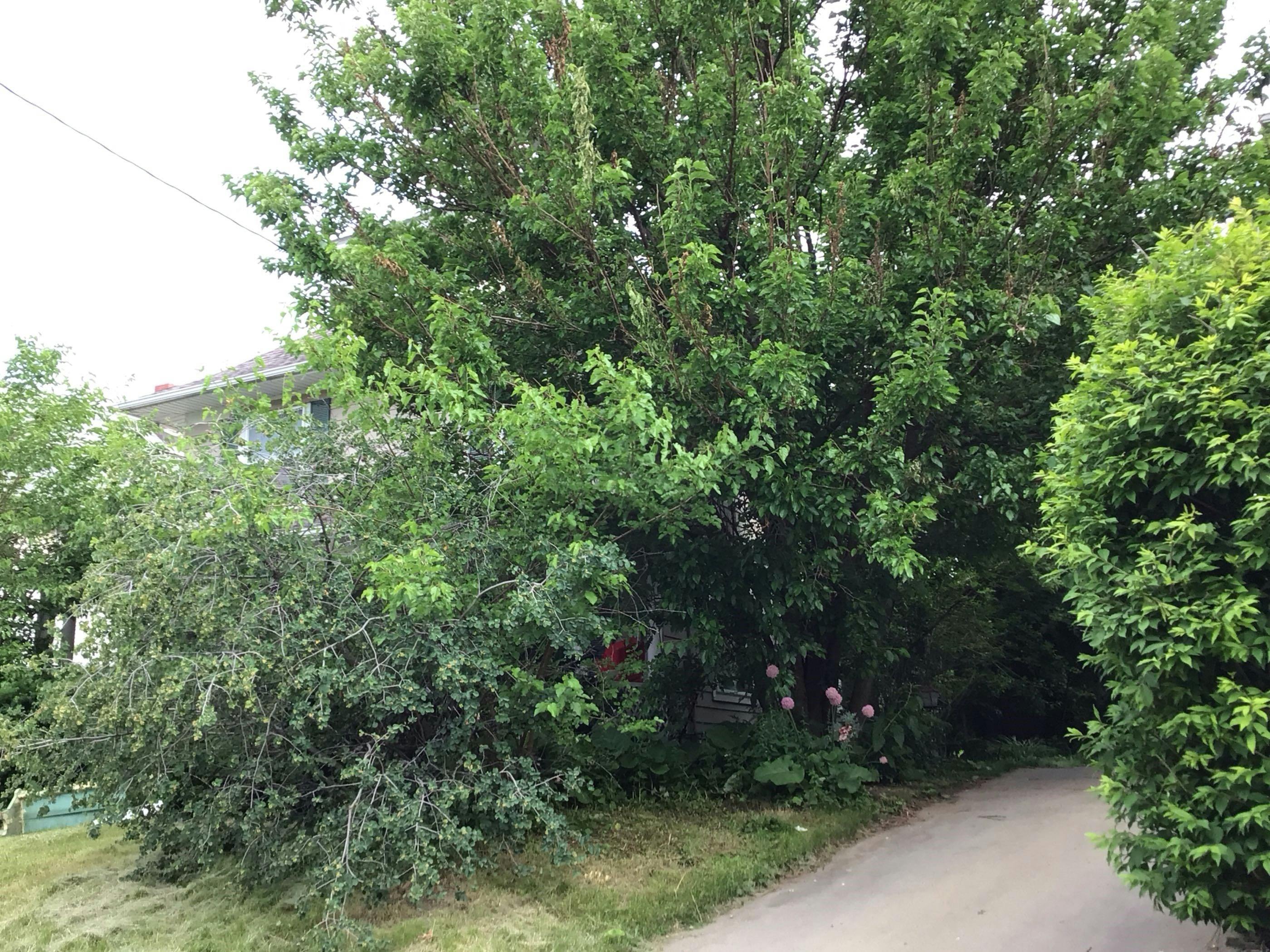 2nd Ave, Newton, IA 50208 #1