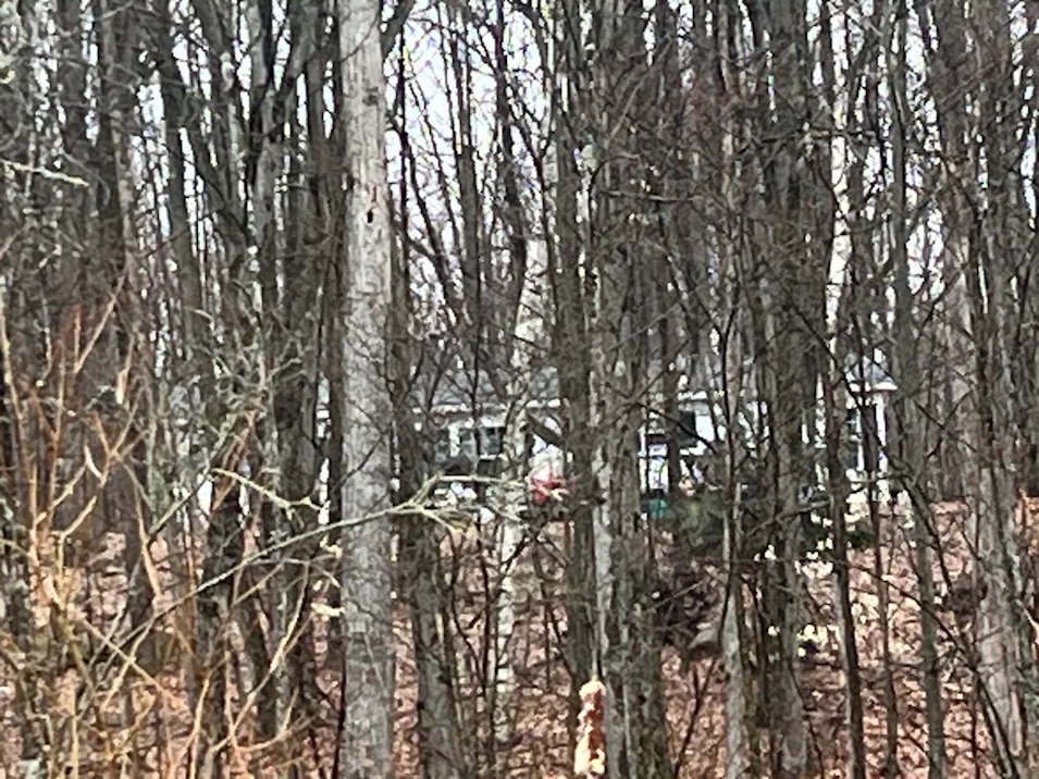 11788 E 4 Mile Rd Leroy, MI 49655, Lake County