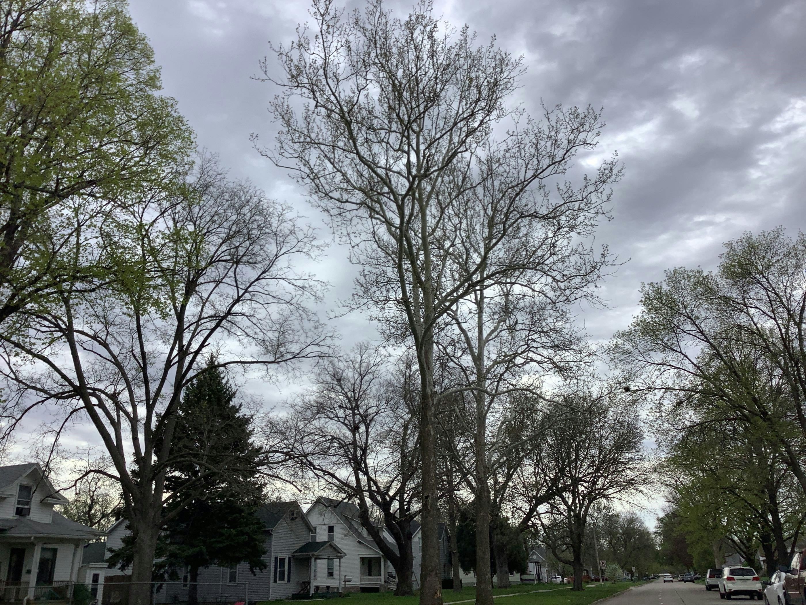5th St, Norfolk, NE 68701