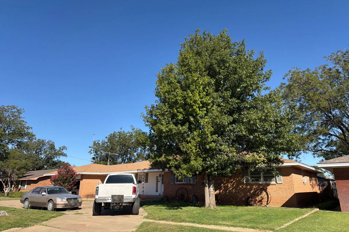 2nd St, Hale Center, TX 79041 #1