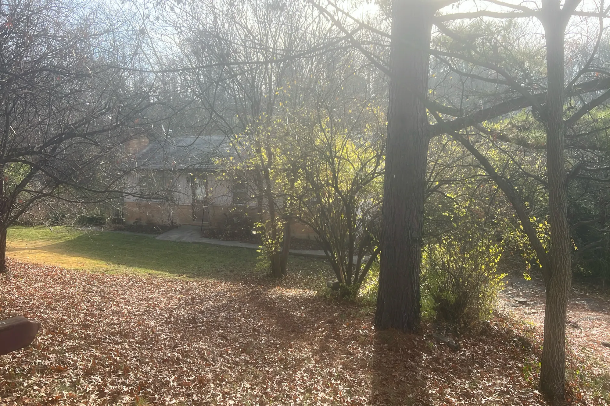 Winston Hill Dr, Taylor Mill, KY 41015 #1