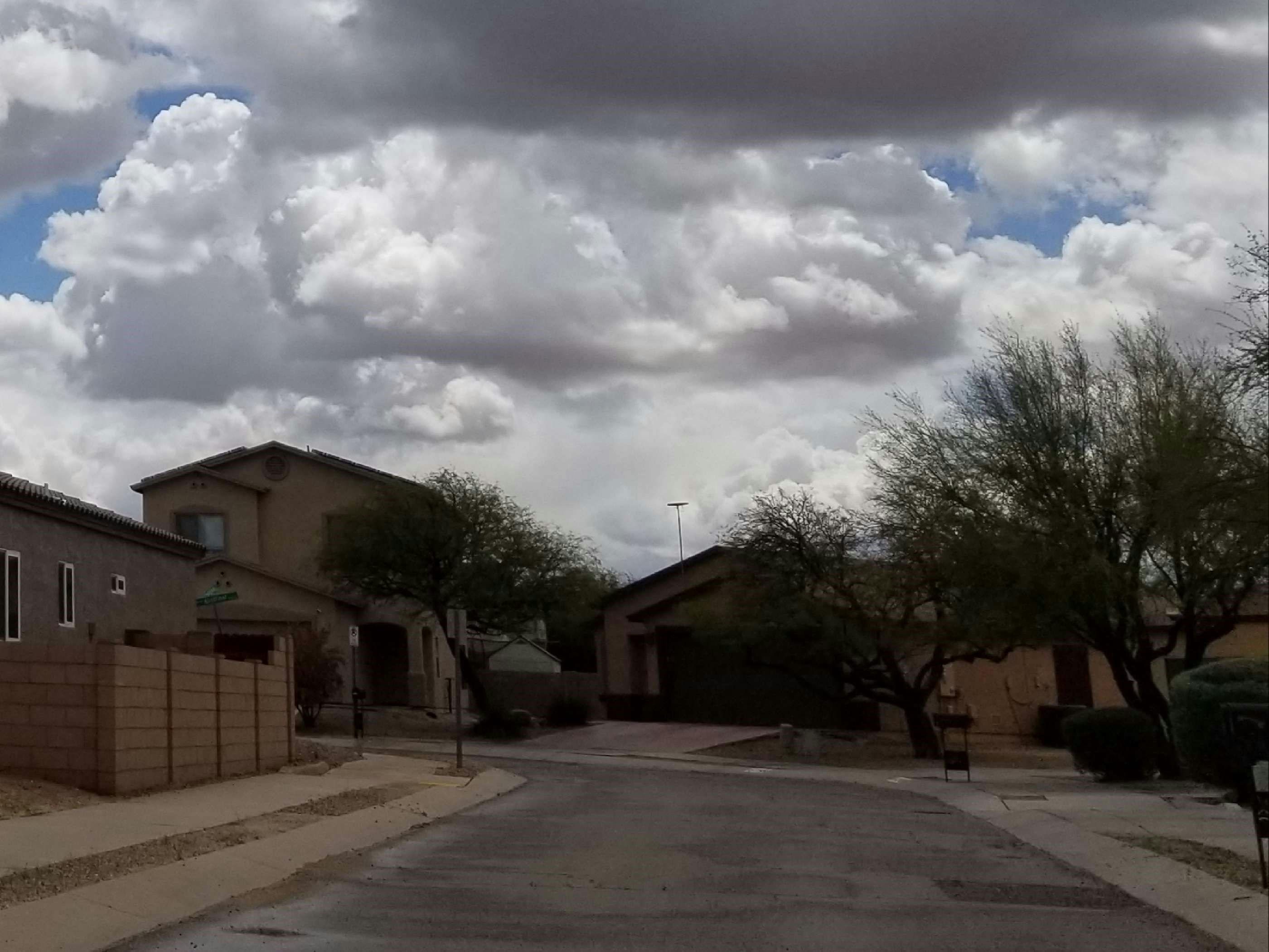 Avenida Santa Carolina , Tucson, AZ 85756