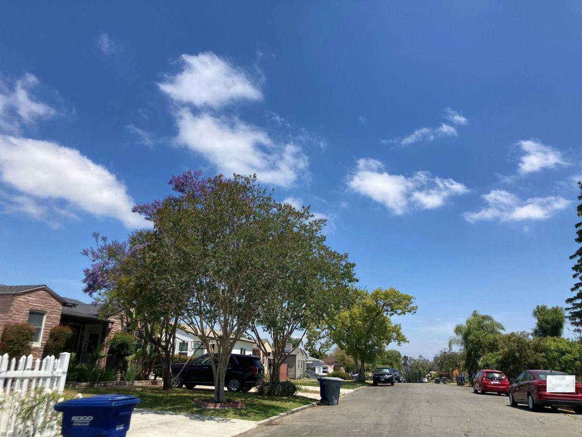 Charles St, LA Mesa, CA 91941 #1
