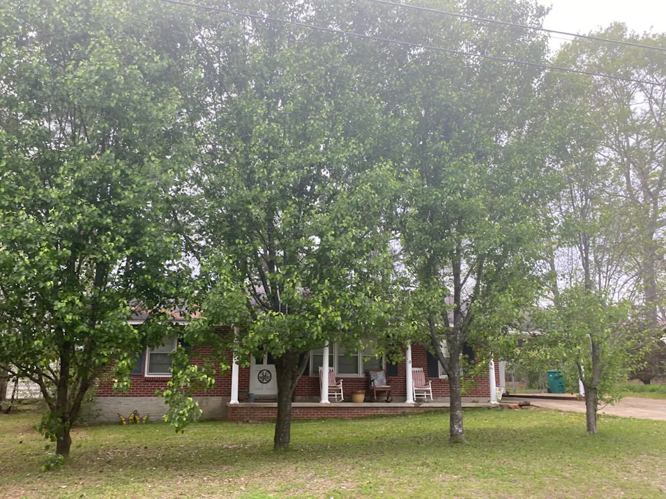 946 Pinehill Circle Carthage, MS 39051, Leake County