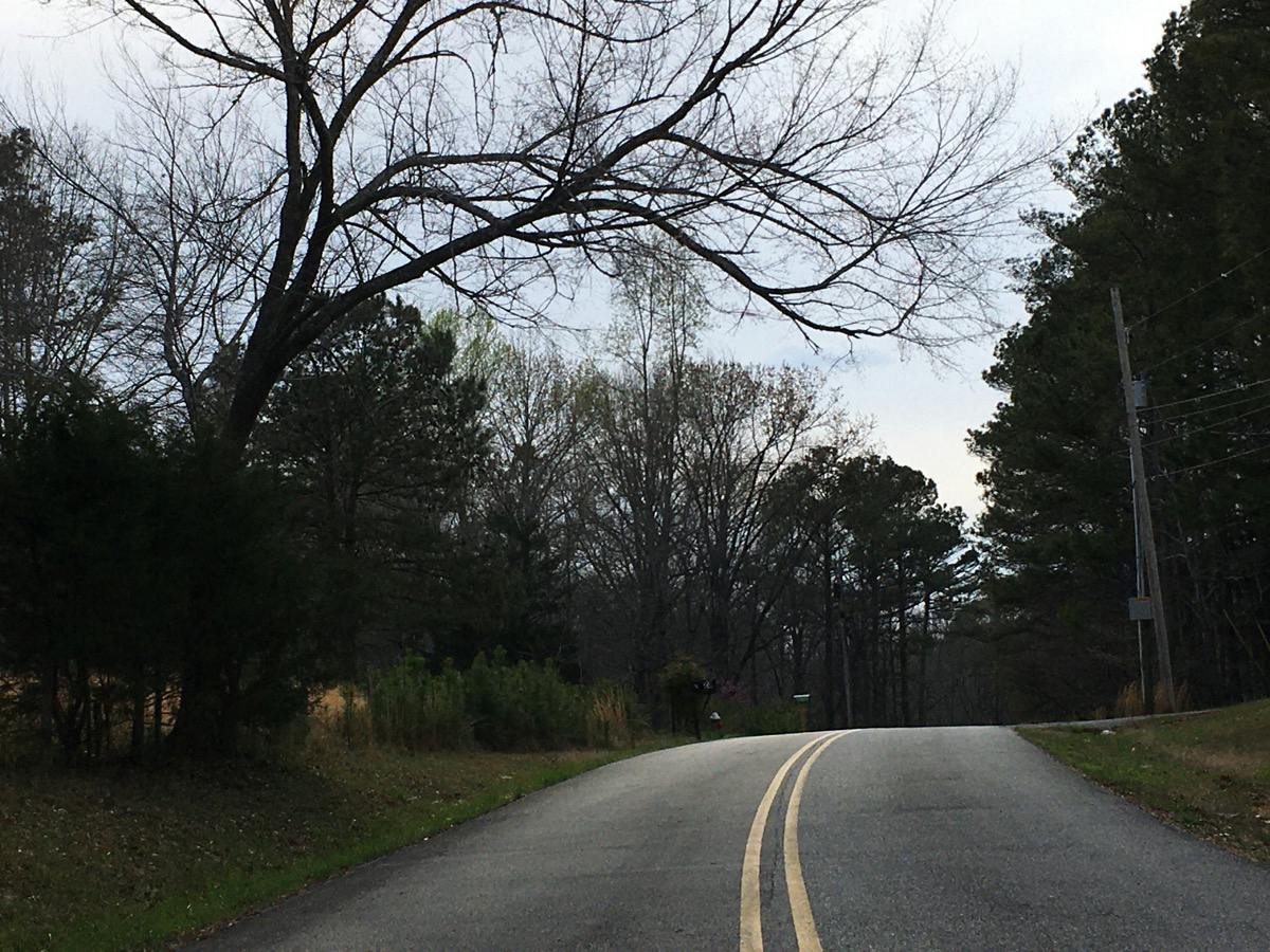 Wildwood Way, Somerville, AL 35670