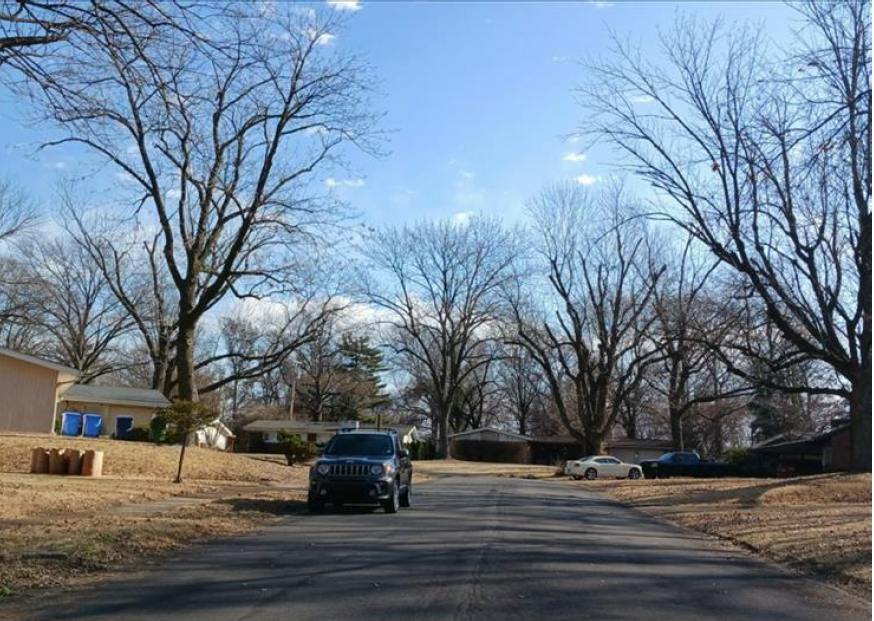 Allen Dr, Florissant, MO 63033 #1