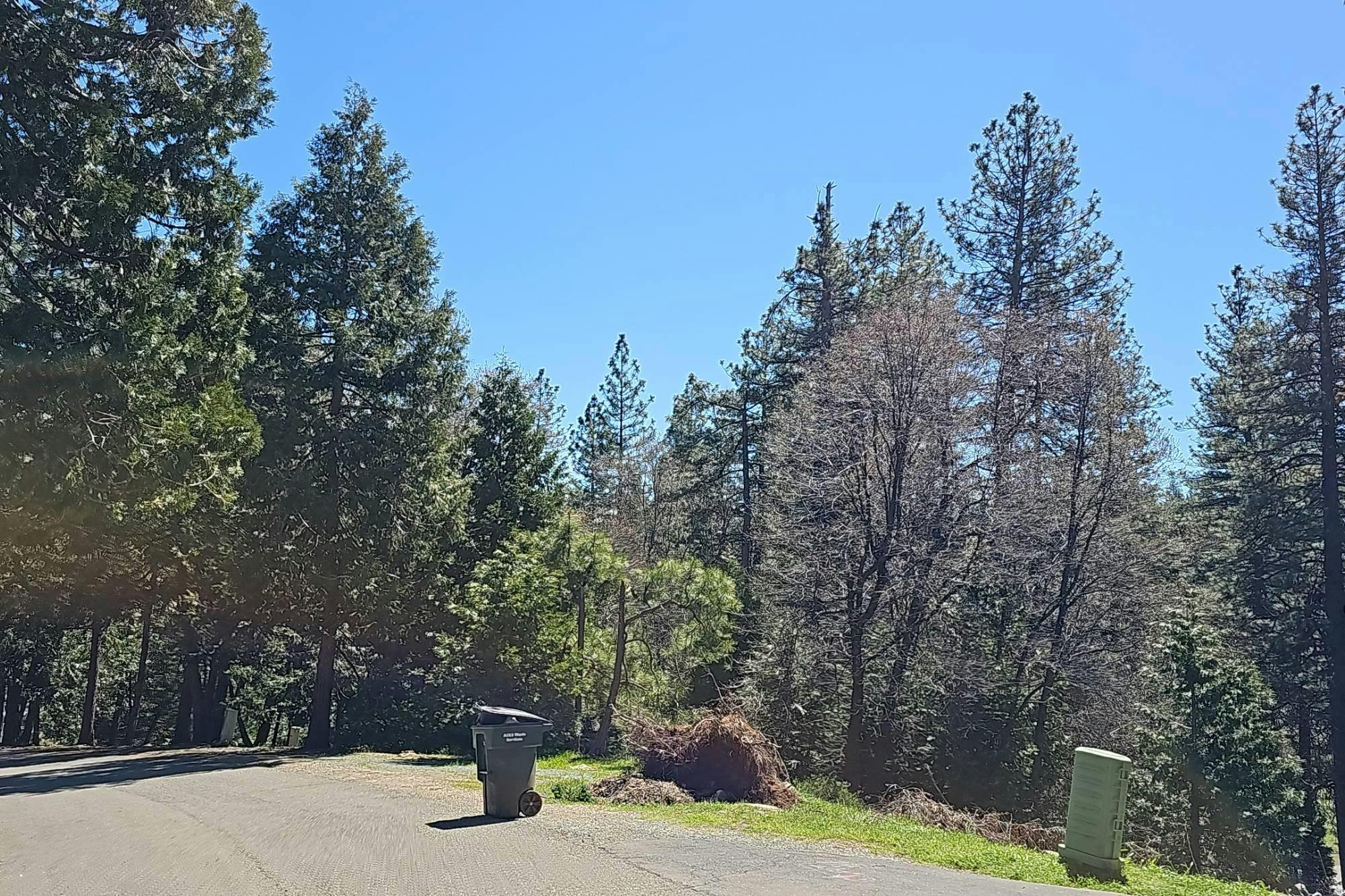 Pearl Ct, Pioneer, CA 95666 #1