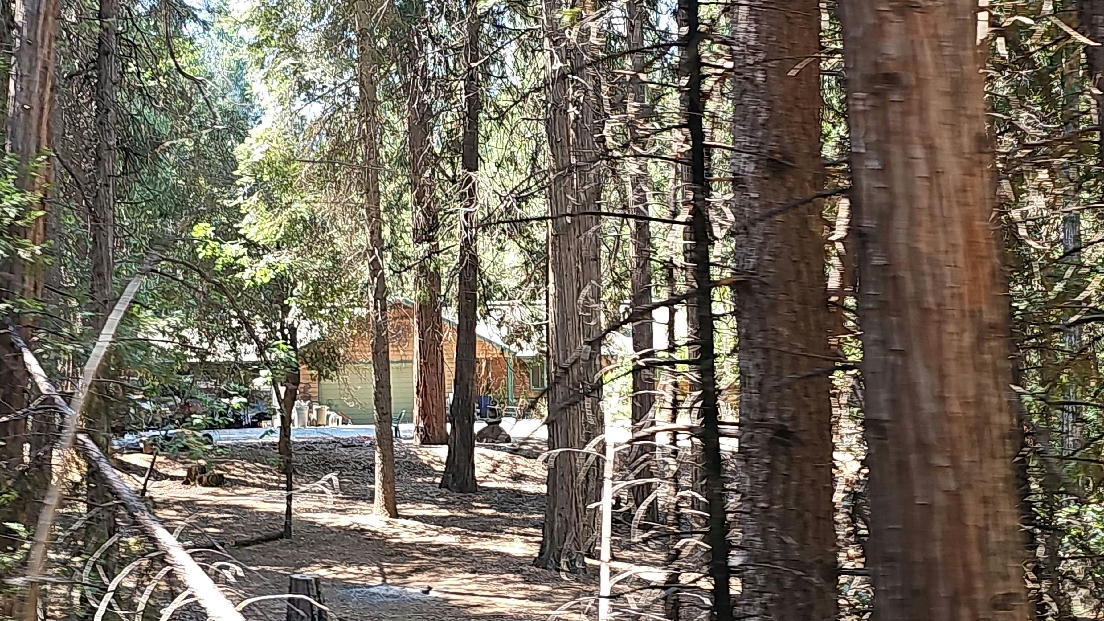 Overland Dr, Volcano, CA 95689 #1