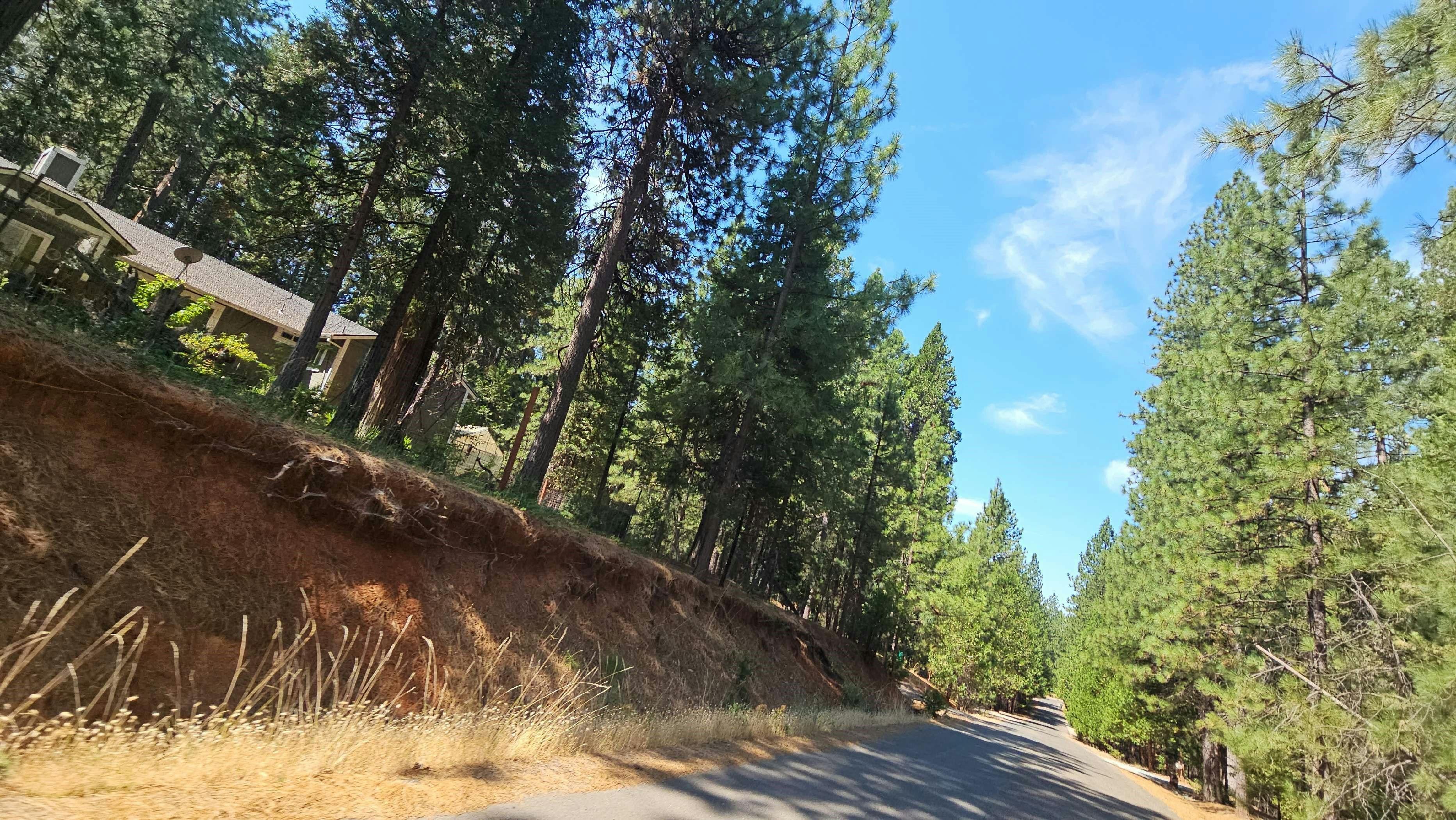Overland Dr, Volcano, CA 95689