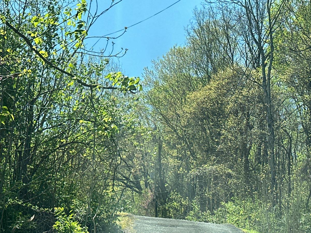 Lowridge Rd, Johnson City, TN 37604