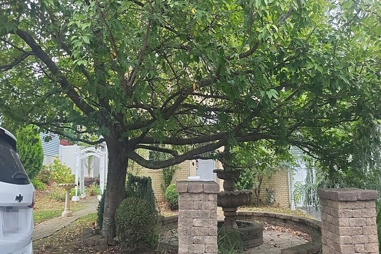 377 Lum Avenue Union, NJ 07083, Union County