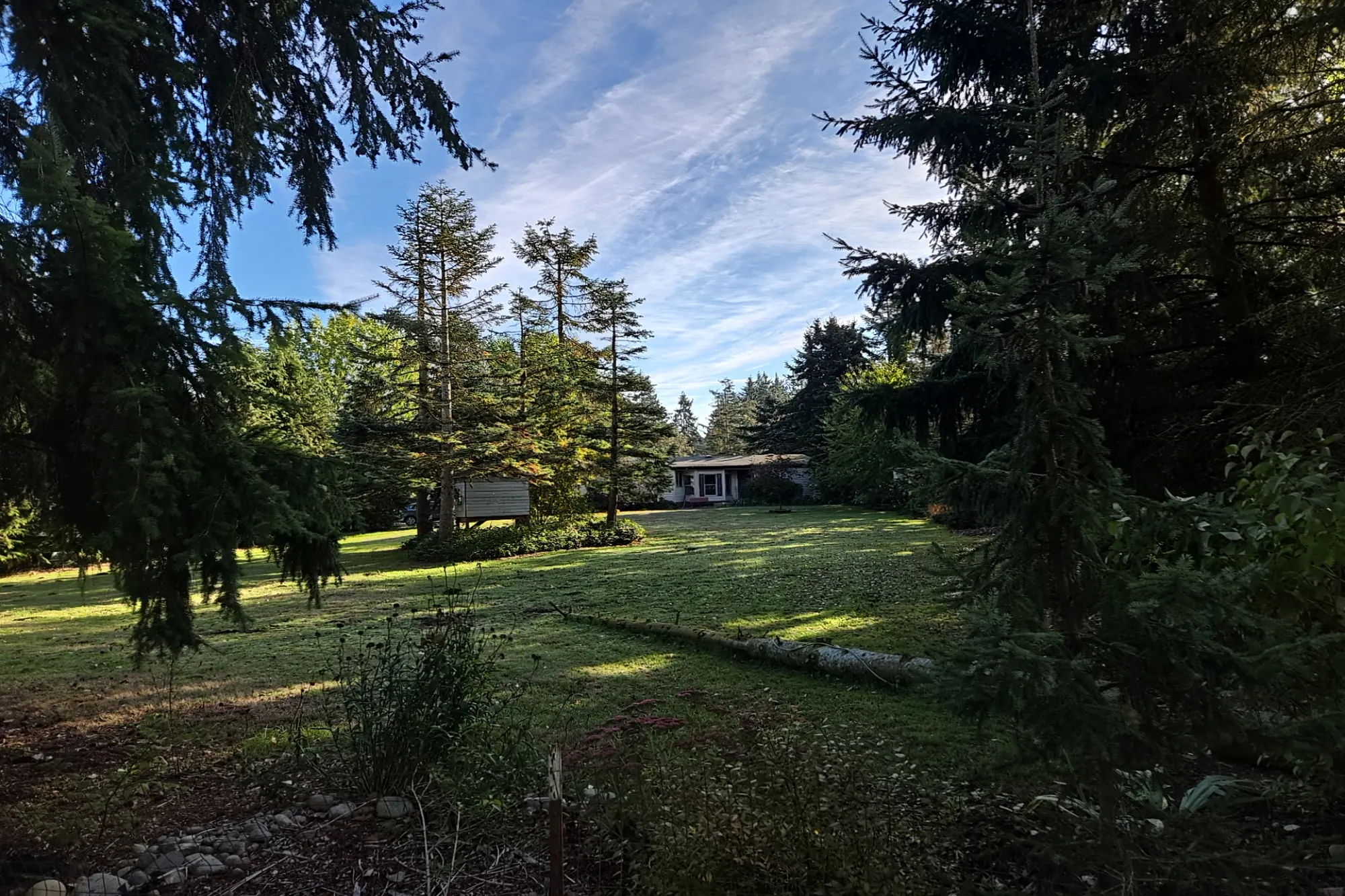 11th Ave, Roy, WA 98580 #1