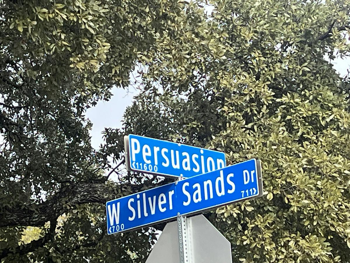 Persuasion Dr, San Antonio, TX 78216