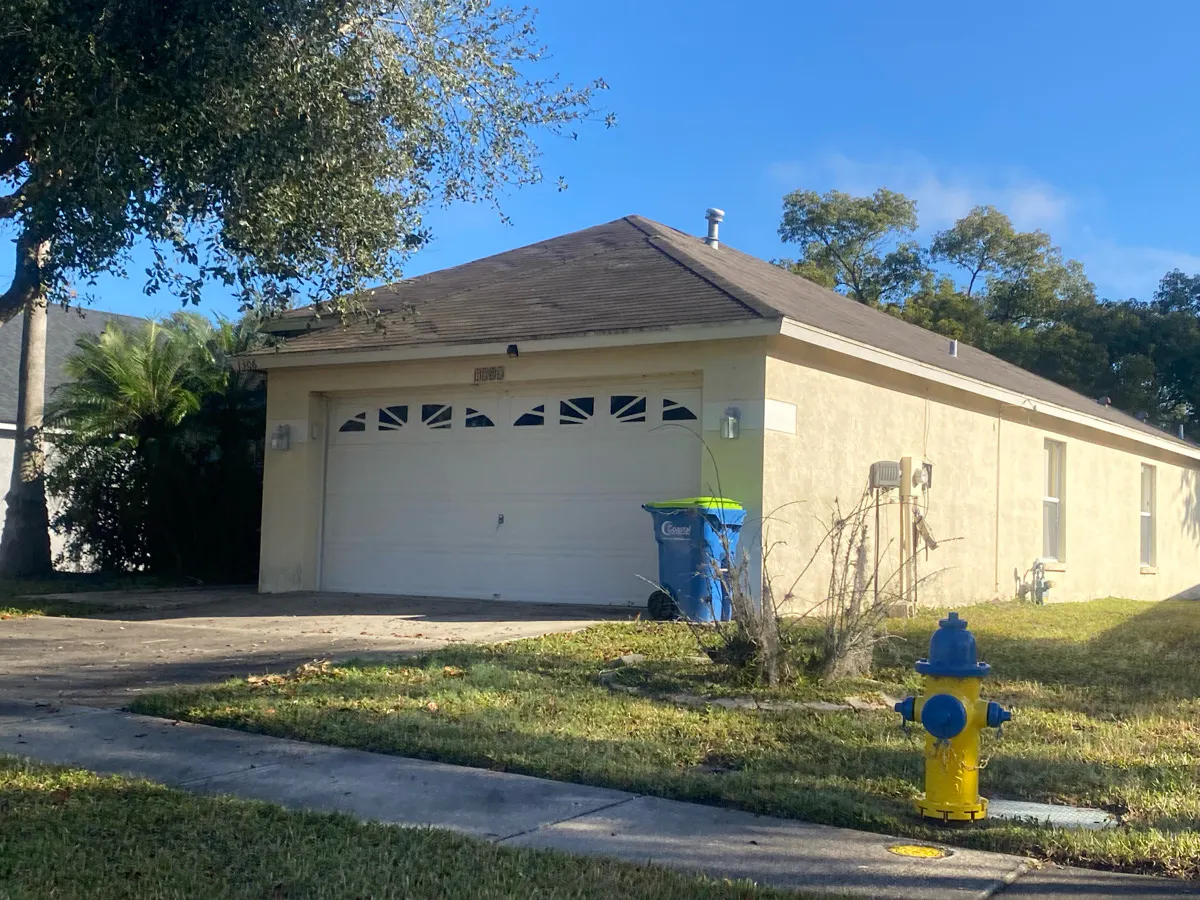 Crimson Clover Ln, Wesley Chapel, FL 33543 #1